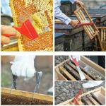 Durable Beehive Tool Kit for Beekeeping Pros & Beginners
