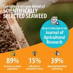 HIVE ALIVE: Natural Bee Food Supplement, Enhances Bee Health