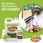 HIVE ALIVE: Natural Bee Food Supplement, Enhances Bee Health