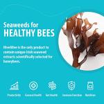 HIVE ALIVE: Natural Bee Food Supplement, Enhances Bee Health