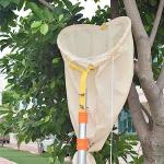 Portable Swarm Box for Beekeeping Collection