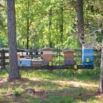 Rusty Metal Bee Hive Wall Art for Gardens