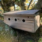 Wooden Nesting Box for Bee Colonies