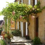 5 Fabric and Paper Simulated Wasp Nests