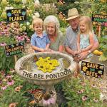 Bee Watering Station and Butterfly Feeder Set