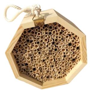 Lurrose Wooden Beehive with Queen Mating Box