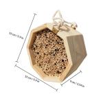 Lurrose Wooden Beehive with Queen Mating Box