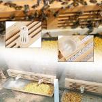 Wooden Pollen Collector Tray for Beekeeping