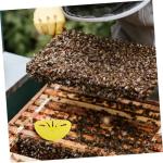 6-Pack Plastic Wasp Traps for Beekeeping