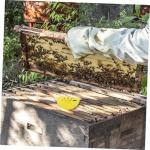 6-Pack Plastic Wasp Traps for Beekeeping