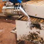 Stainless Steel Bee Hive Smoker with Heat Shield