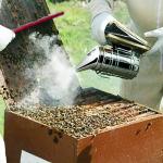 10-Piece Beekeeping Tool Kit for Beginners
