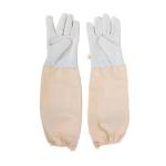 Beekeeper Protective Suit with Gloves and Hood