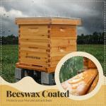 Beekeeping Starter Kit with Beeswax Coated Hive