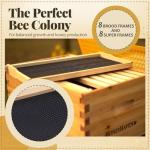 Beekeeping Starter Kit with Beeswax Coated Hive
