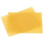 50PCS Beekeeping Honeycomb Frame Foundation Set