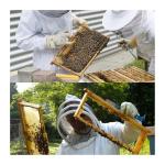 Full-Body Beekeeping Suit with Veil and Hood