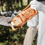 Ventilated Beekeeper Suit with Protective Gloves Set