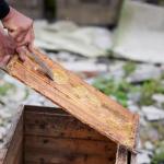 Stainless Steel Bee Hive Scraper Tool Set