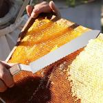 Flexzion 11-Inch Stainless Steel Honey Uncapping Knife
