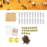 Queen Bee Rearing Kit for Beekeepers