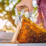 Bee Frame Grip Tool with Wooden Handle