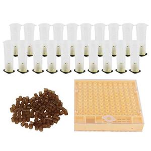 Queen Bee Rearing Box and Cup Kit
