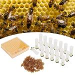 Queen Bee Rearing Box and Cup Kit