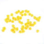 50 Pack Queen Rearing Cell Cups for Beekeeping