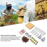 Plastic Queen Bee Rearing Kit with 110 Cups