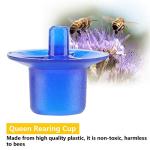 50 Pack Queen Rearing Cell Cups for Beekeeping