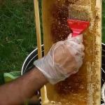 Honey Harvesting Starter Kit with Filters and Tools