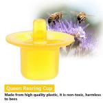 50 Pack Queen Rearing Cell Cups for Beekeeping