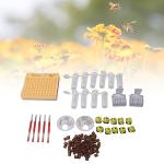Plastic Queen Bee Rearing Kit with 110 Cups
