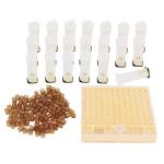 Queen Bee Rearing Box and Cup Kit