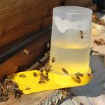 3-Pack Plastic Bee Water Feeders for Beekeeping