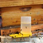 3-Pack Plastic Bee Water Feeders for Beekeeping