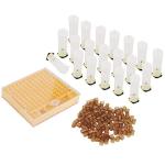 Queen Bee Rearing Box and Cup Kit