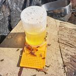 3-Pack Plastic Bee Water Feeders for Beekeeping