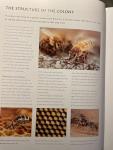 Beekeeping Made Easy: A Practical Guide
