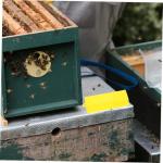 10-Pack Bee Rearing Boxes for Hive Management