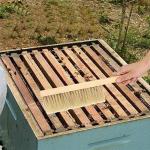 Bee Brush Set with Wooden Handle and Horse Hair