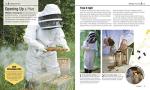 The Bee Book: Protecting Bees and Beekeeping Basics