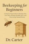 Beginner’s Guide to Starting Your First Beehive