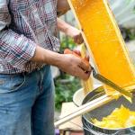 Stainless Steel Double Sieve Honey Strainer for Beekeepers