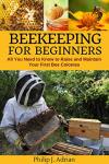 Beekeeping Basics: Start Your First Bee Colony