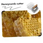 Stainless Steel Honey Harvesting Tool Set