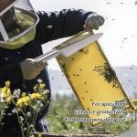 Stainless Steel Wasp Knife Honey Uncapping Cutter