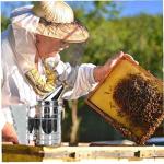 Stainless Steel Bee Smoker for Beekeepers