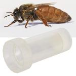 Zerodis Transparent Queen Bee Marker Bottle